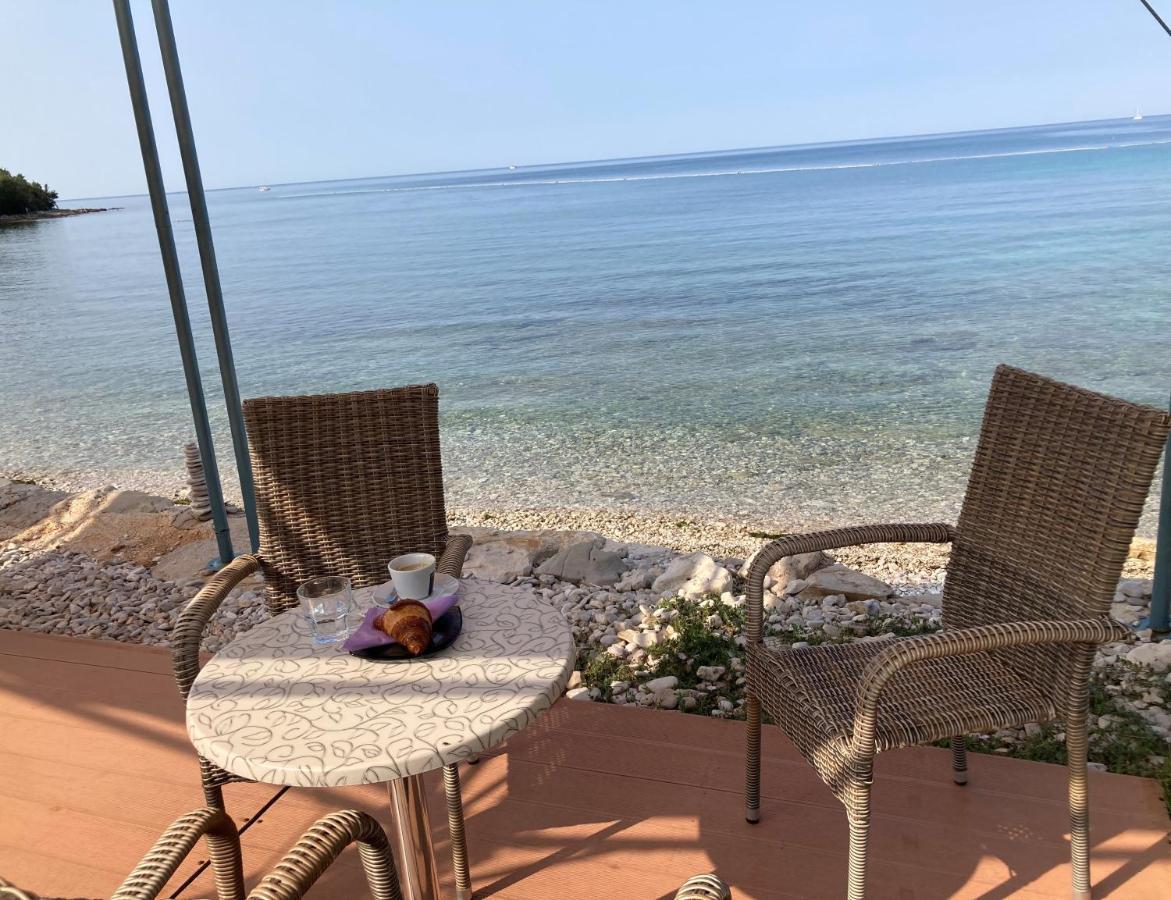 Ferienwohnung Sommer Novigrad  Ngoại thất bức ảnh